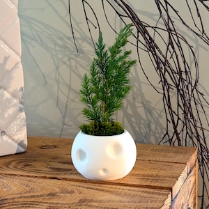 Kodama Kerra Pot Planter | Indoor Plant Pot | Succulent Planter | Modern Minimalist Pot
