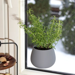 Op de afbeelding: Een grijze keramische pot met een rozemarijnplant die erin groeit. De pot is met een zuignap aan een raam bevestigd.