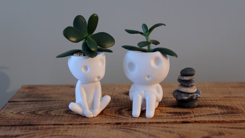 Tree Spirit Kodama