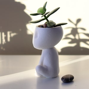Kodama Planter