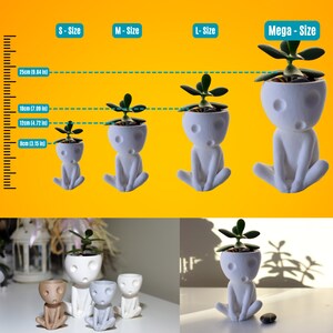 Kodama Planter