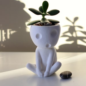 Kodama Planter - Studio Ghibli Inspired Indoor Pot - Princess Mononoke Decor - Mini Planters for Succulents - Baumgeister - Kooki & Keera
