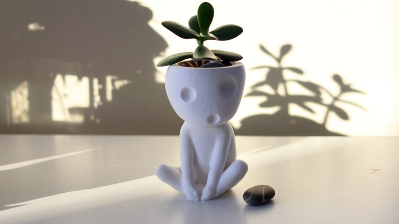 Kodama Indoor Planter Pot