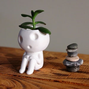 Kodama Planter Keera
