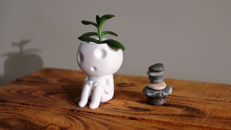 Kodama Planter Keera