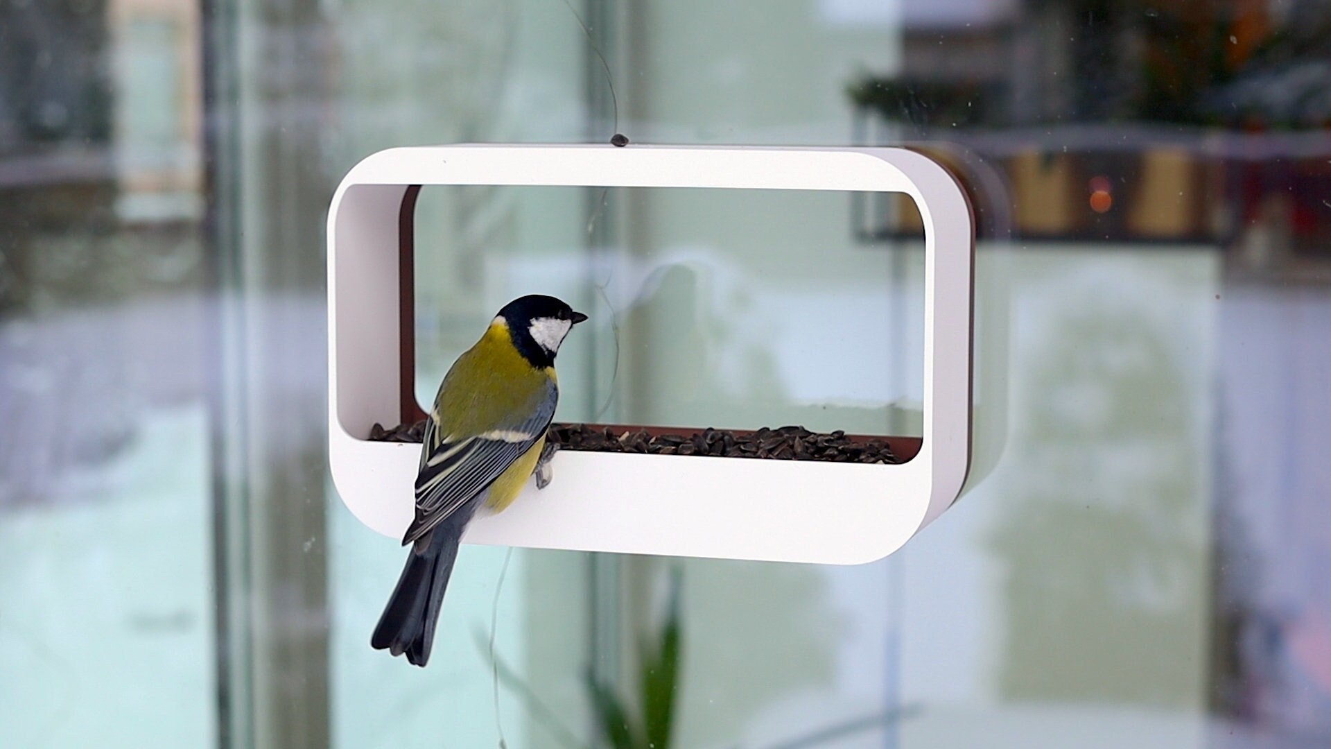 Free STL file Fat ball bird feeder 🐦・Template to download and 3D