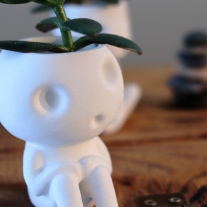 Tree Spirit Kodama