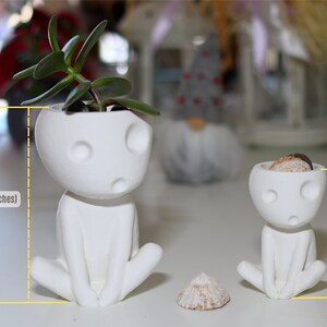 Kodama Planter