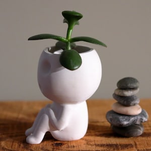 Kodama Planter Keera