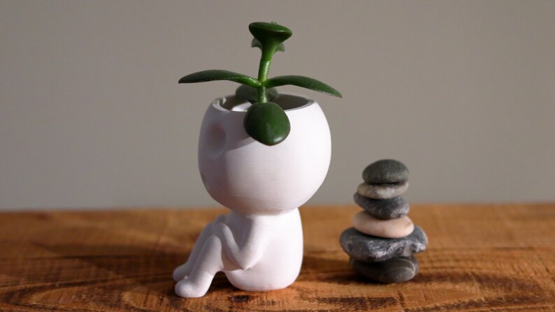 Kodama Planter Keera