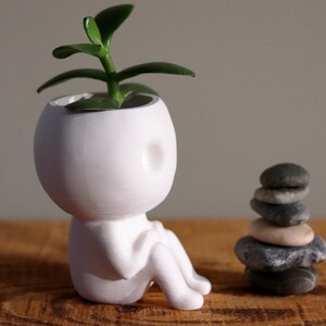 Kodama Planter Keera