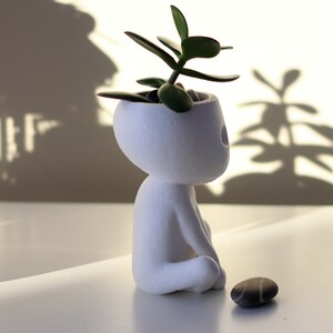 Kodama Planter