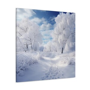 May include: A snowy winter scene with a path leading through a forest of trees covered in frost. The trees are white and the ground is covered in snow. The sky is blue and there are clouds in the sky.