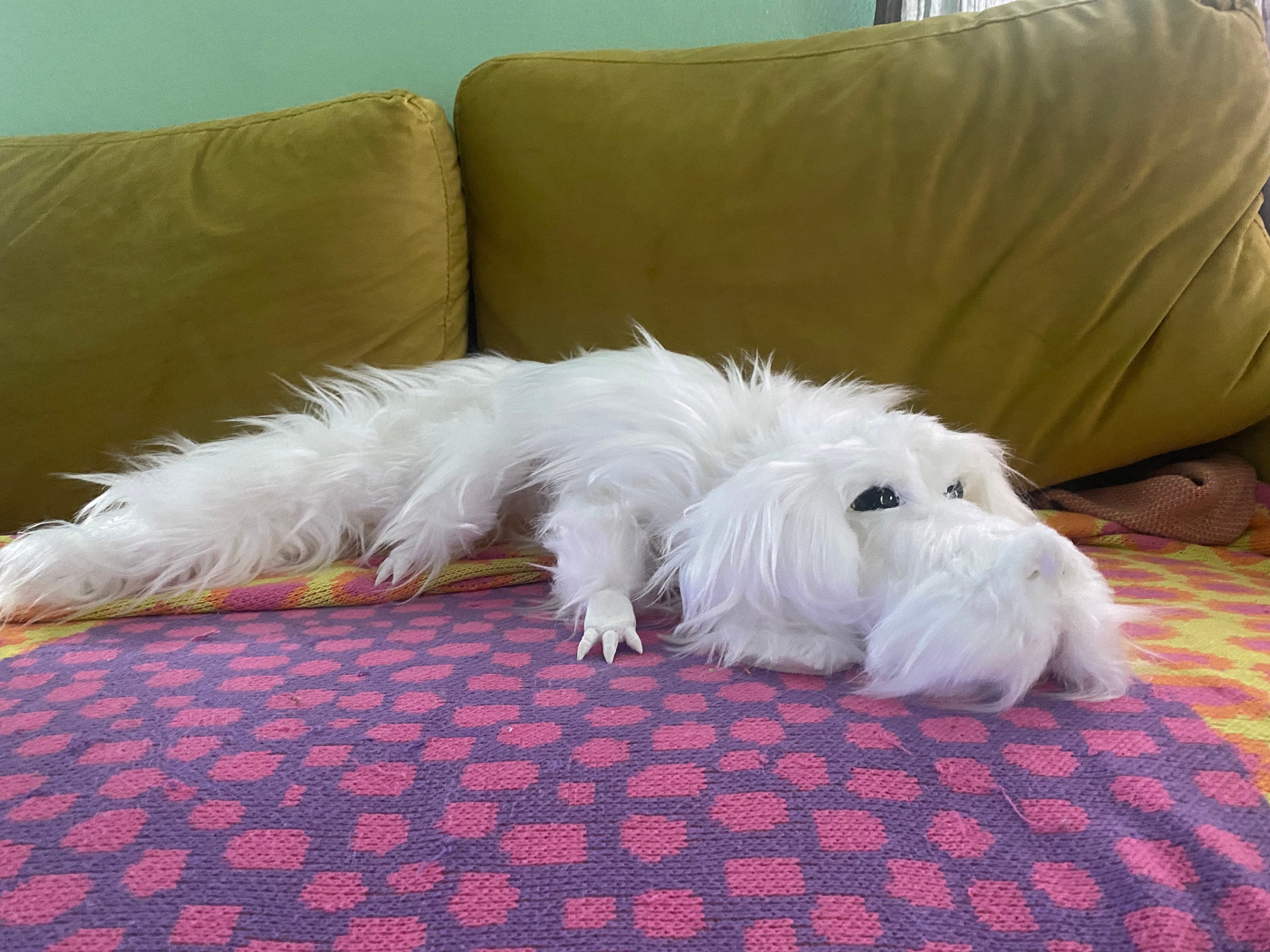 Handmade Falkor Plush Toy From The NeverEnding Story Becomes An Internet  Sensation