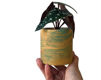 concrete  succulent  planter /  yellow green planter  / indoor plant  planter / marbled pottery / plant pots