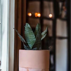 Concrete  succulent layered planter   / succulent planter / layered pot . Pink planter pink and terracotta