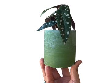 concrete  succulent  planter /  blue  green planter  / indoor plant  planter / marbled pottery / plant pots