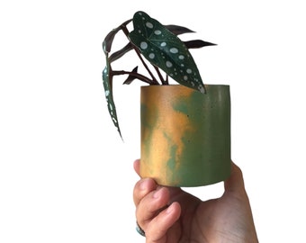 concrete  succulent  planter /  yellow green planter  / indoor plant  planter / marbled pottery / plant pots
