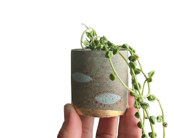 Tiny planter , small succulent planter , concrete plant pot , concrete planter