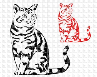 Cat svg bundle, cat clipart, cat silhouette svg, maullido svg bundle, cats svg bundle, cut files for cricut silhouette, svg, eps, png, dxf