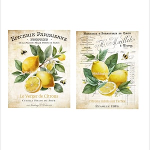 DIGITAL PRINT, 2-8X10 Vintage Französische Drucke, Zitrone Drucke, Mockingbird Florals, Zitrone Französische Digitaldrucke, Zitrone Download, Zitrone Clipart