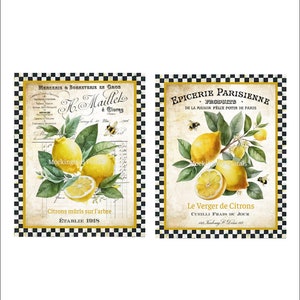 DIGITALDRUCK, 2-8 X 10 Vintage französische Drucke, Zitrone Drucke, Spottdrossel Florals, Zitrone französische Digitaldrucke, Zitrone herunterladen, Zitrone Clipart
