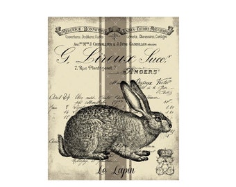 DIGITAL ART, 8x10 Downloadable French Country Rabbit Print, Printable Bunny, Mockingbird Florals, Shabby Chic Rabbit Digital, Vintage Rabbit