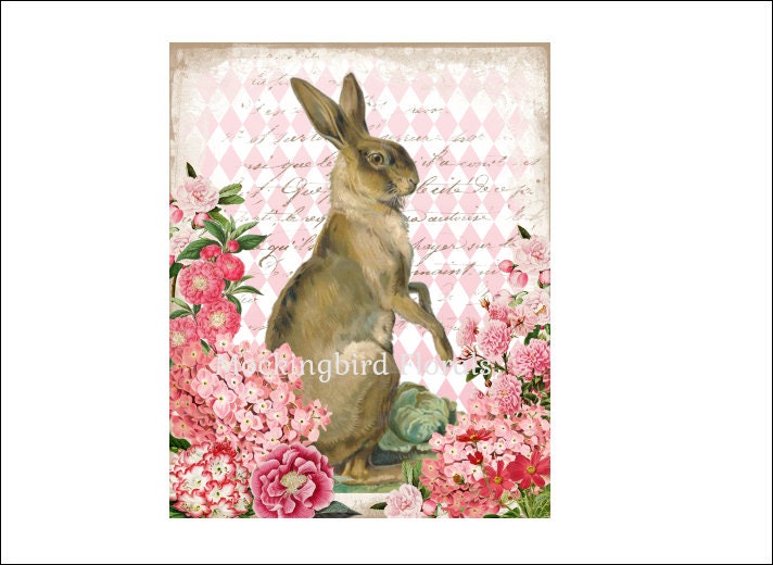 DIGITAL PRINT, 8X10 Art Print, French Rabbit Digital, Mockingbird ...