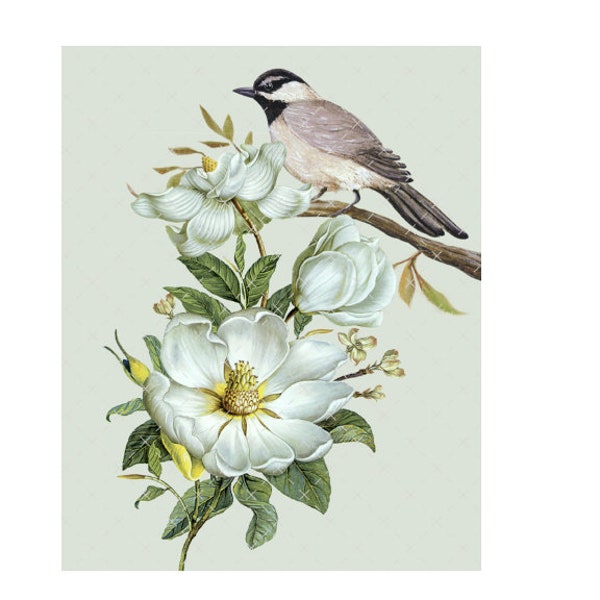 DIGITAL PRINT, 8 X 10 Download Art, Bird Art Digital, Mockingbird Florals, Vintage Magnolia Print, Vintage Bird Digital, Magnolia Download