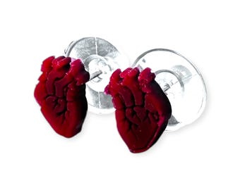 Anatomical heart alternative stainless steel stud earrings gift. Gothic jewelry for pierced ears