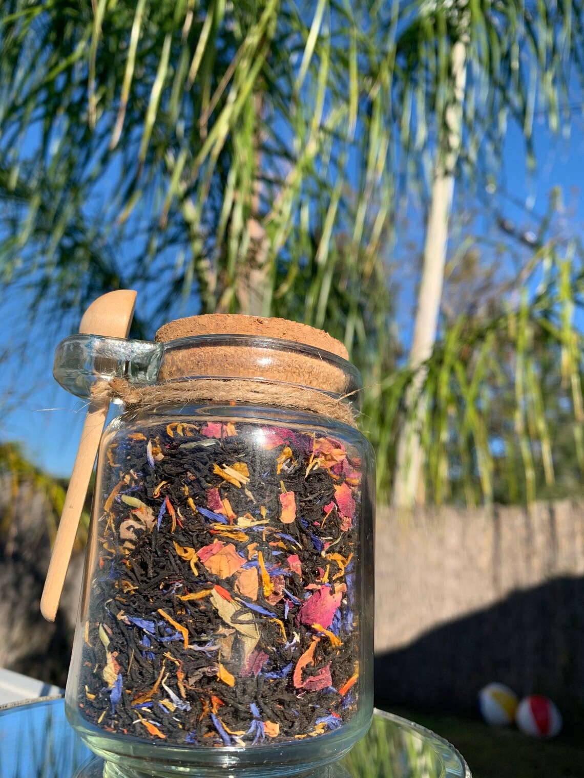 Birds of Paradise Etsy