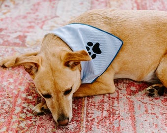 Pet Bandana XS (Pack of 3)