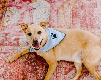 Pet Bandana Small (Pack of 3)