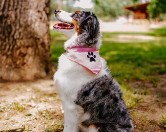 Pet Bandana XL (Pack of 3)