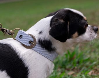 Buckle Dog Collar Large