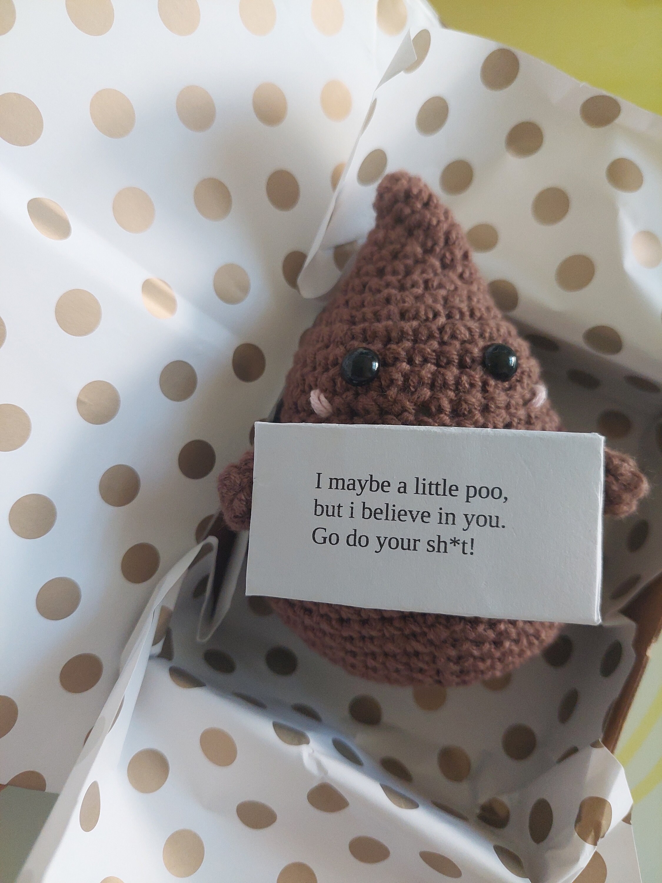 Unique Crochet Poo With Positive Quote, Handmade Funny Gift for, Positive  Poo