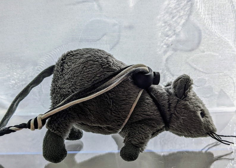 May include: A plush gray mouse toy with a long tail and black whiskers. The toy has a harness made of black, white, and gray cords. The mouse is approximately 6 inches long.