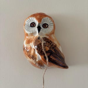 May include: A ceramic owl wall hanging featuring a glossy finish with shades of brown, tan, and white. The owl has large dark eyes, a black beak, and a white facial disc. A piece of thin, light brown twine hangs from a hole in the chest area.