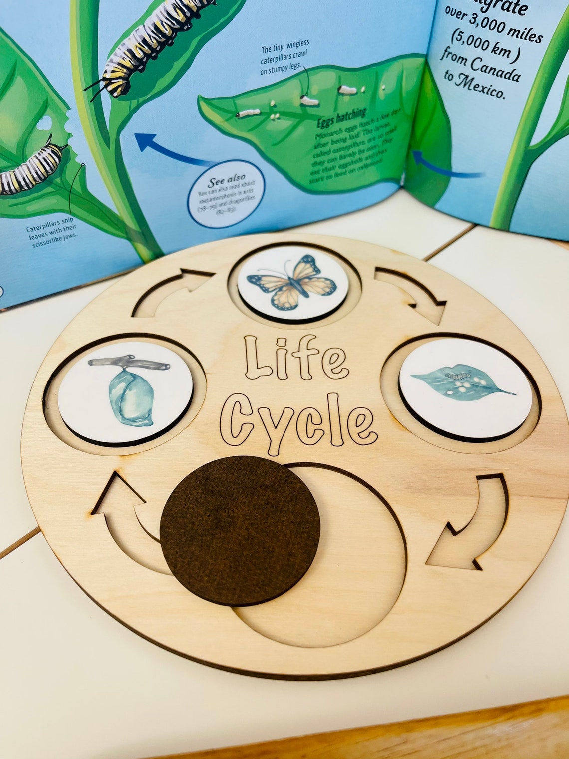 Life Cycle of a Monarch Butterfly Life Cycle Board Montessori Etsy