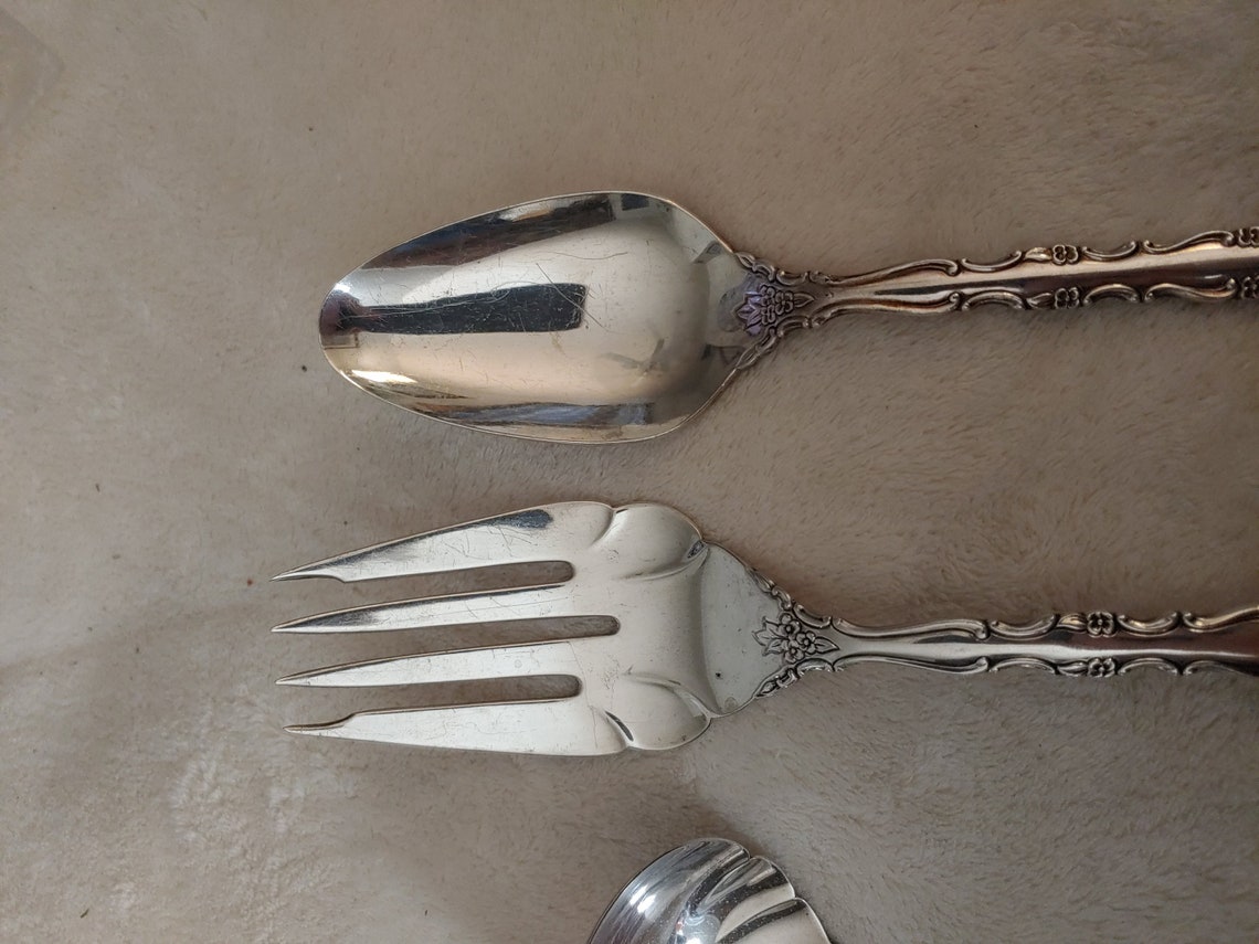 Vintage International Deep Silver 1971 Delicato Silverplate 3 Etsy