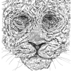 Science Tiger Print