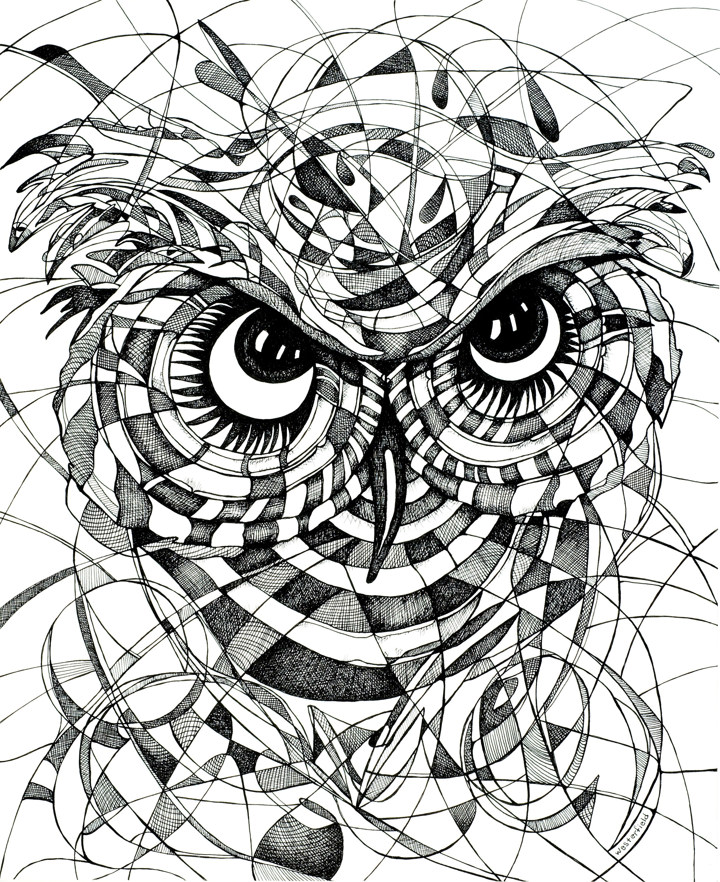 Owl Print