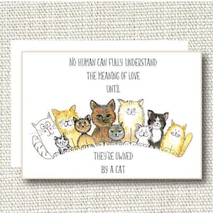 Unconditional Cat Love