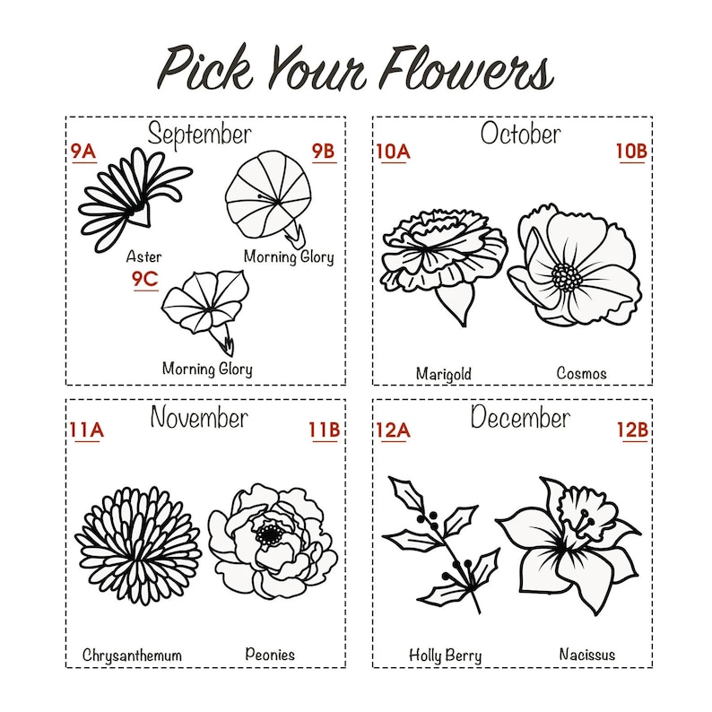 Op de afbeelding: Een grafiek met zwart-wit illustraties van bloemen, georganiseerd per maand. De maanden zijn september, oktober, november en december. De bloemen zijn aster, ochtendglorie, goudsbloem, kosmos, chrysant, pioenroos, hulst en narcis.