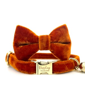 Orange Cat Collar Velvet Bowtie for Cat Collar Personalized Gift for Cat Collar Breakaway or Quick Release Buckle Cat Collar 29 COLOR OPTION