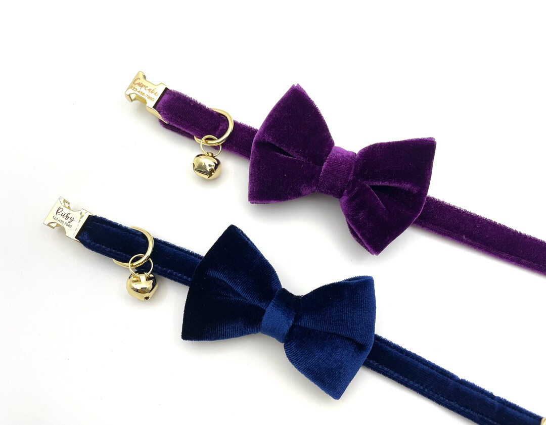 Personalized Velvet Cat Collar Leash Set, Engraved Kitties Collar Leash