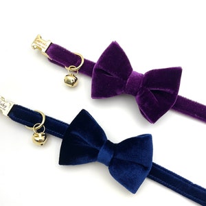 Personalized Velvet Cat Collar Leash Set, Engraved Kitties Collar Leash, Luxury Cat Collar, Puppy Collar, Violet Cat Collar, 28 COLORS