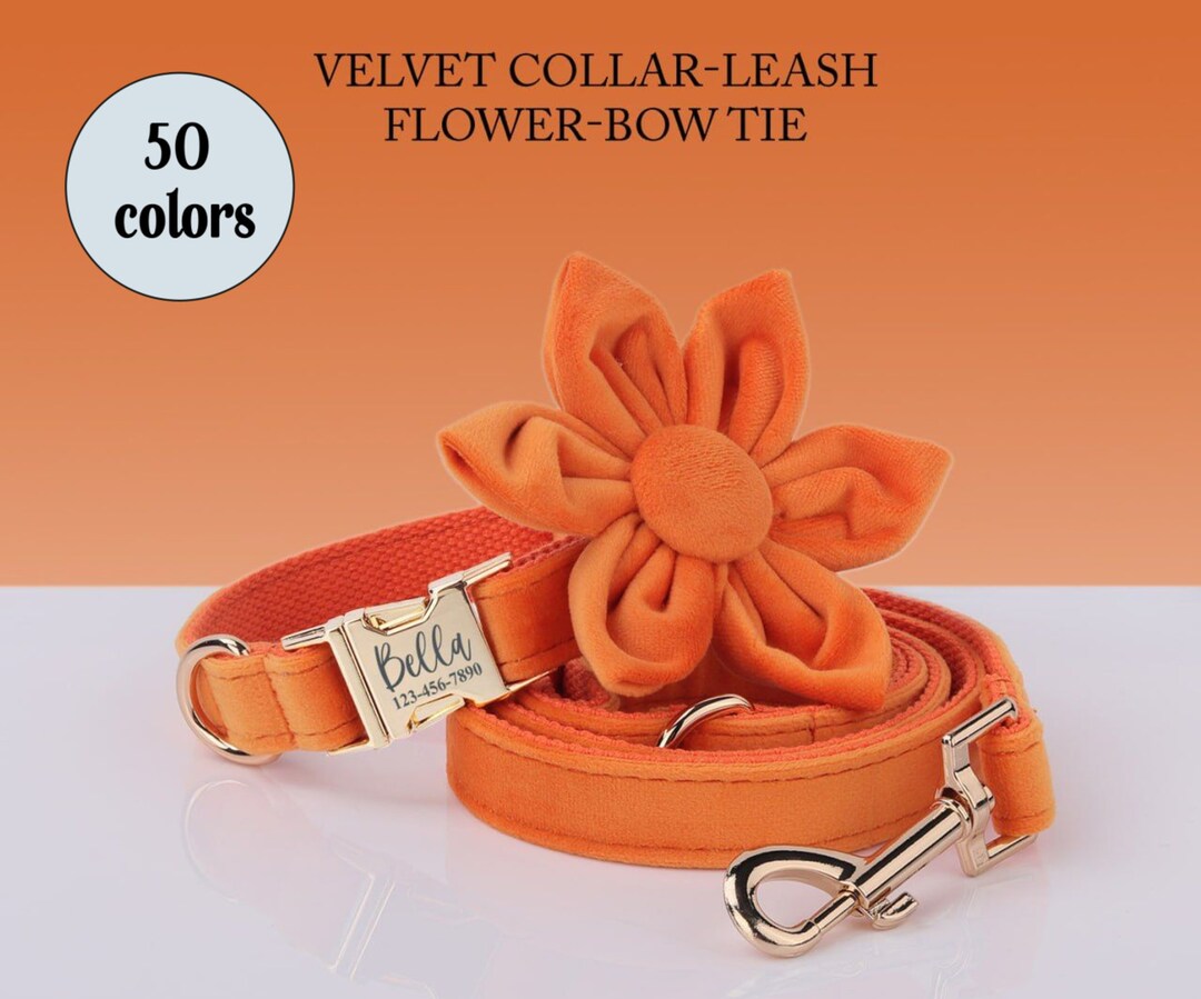 Orange Dog Collar Personalized Cat Collar Purple Orange Brown Blush