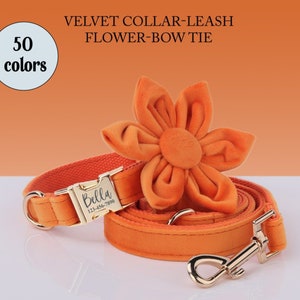 Orange Dog Collar Personalized Cat Collar Purple Orange Brown Blush Green Dog Collar Custom Name Dog Collar Bowtie Cat Collar Bell