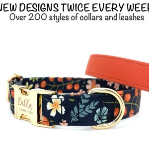 boy dog collars etsy